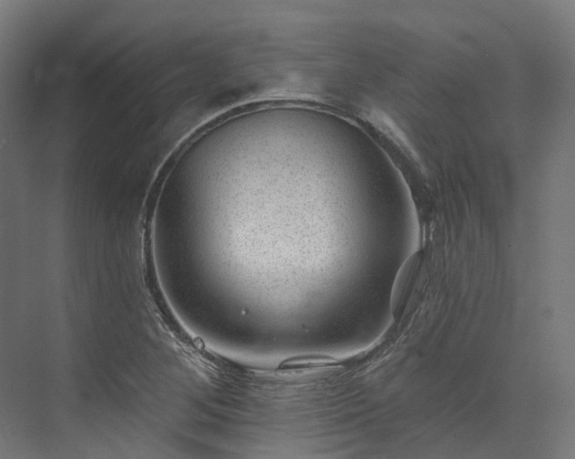 X0000073851268200608171023