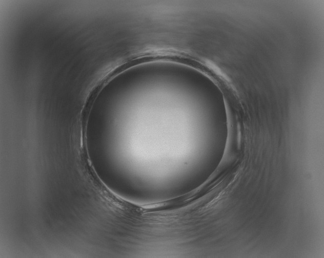 X0000073851269200608171023