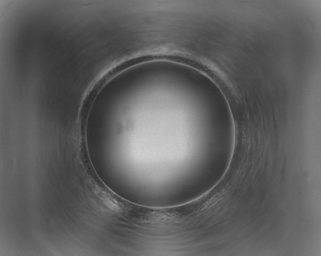 X0000073851270200608171023