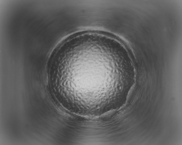 X0000073851271200608171023