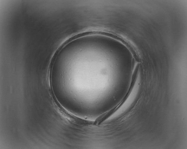 X0000073851272200608171023