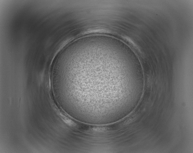 X0000073851274200608171023