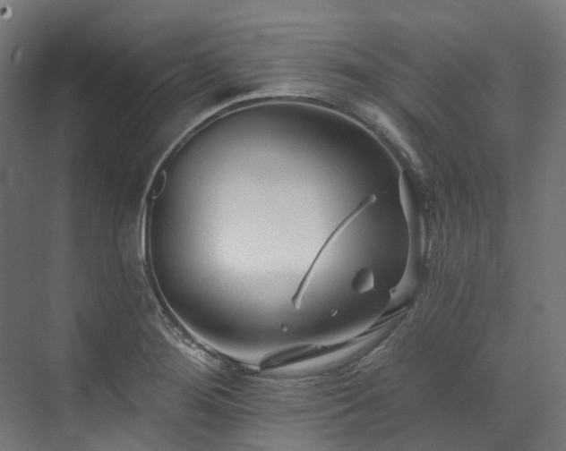 X0000073851276200608171023