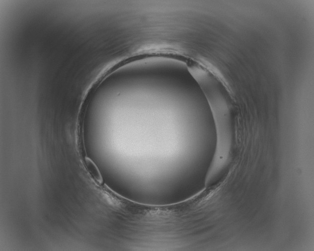 X0000073851277200608171023