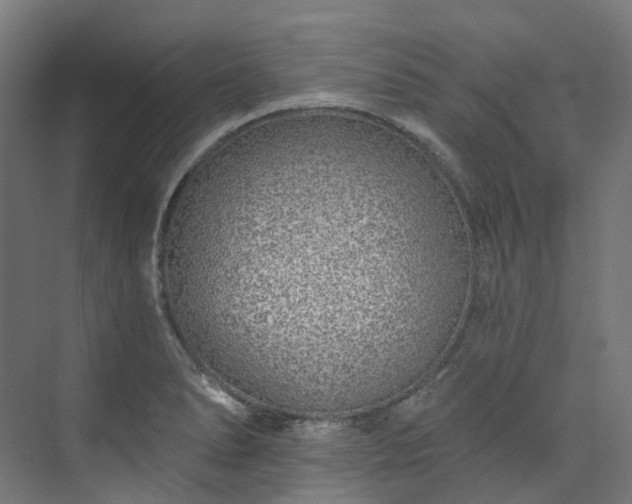 X0000073851278200608171023