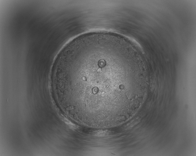 X0000073851279200608171023