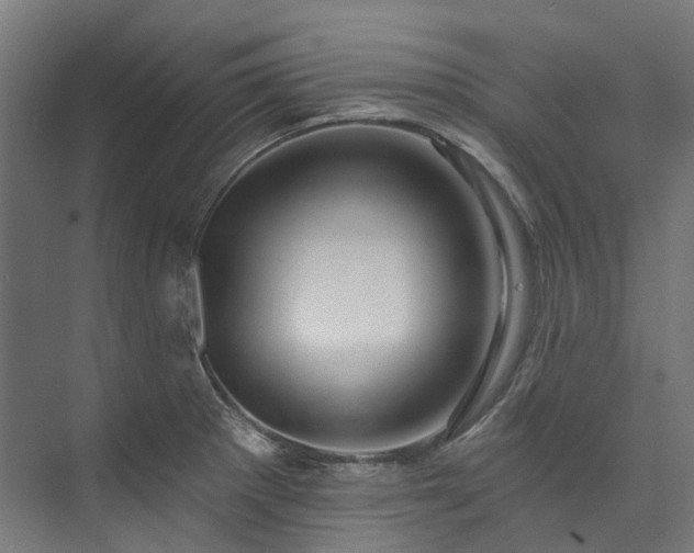 X0000073851281200608171023