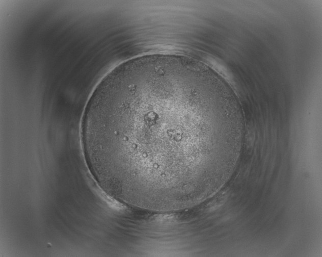 X0000073851283200608171023