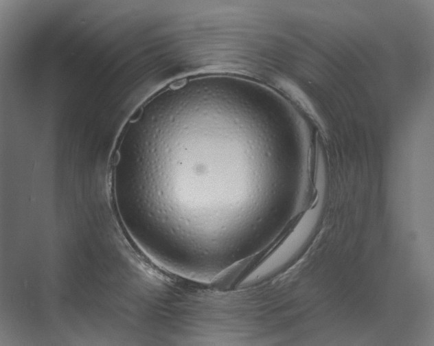 X0000073851284200608171023