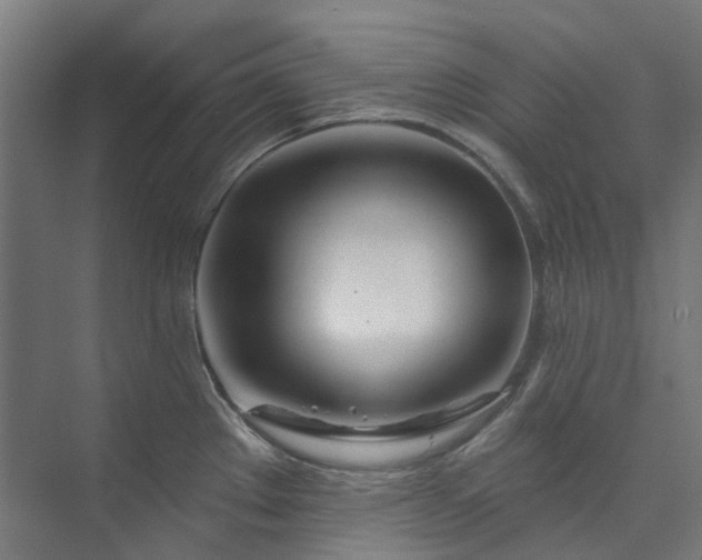 X0000073851289200608171023