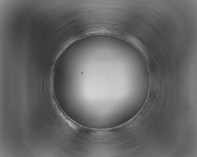 X0000073851290200608171023