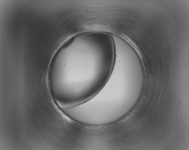 X0000073851293200608171023