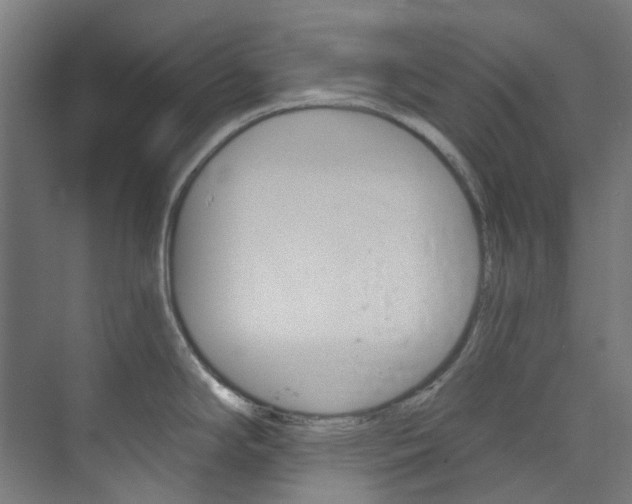 X0000073851294200608171023