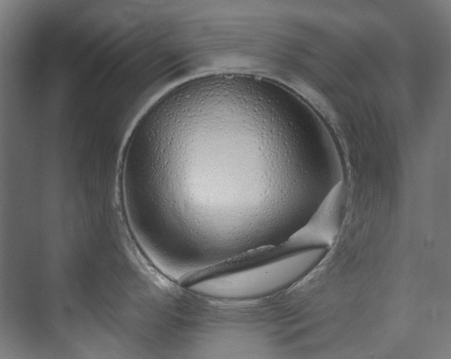 X0000073851296200608171023