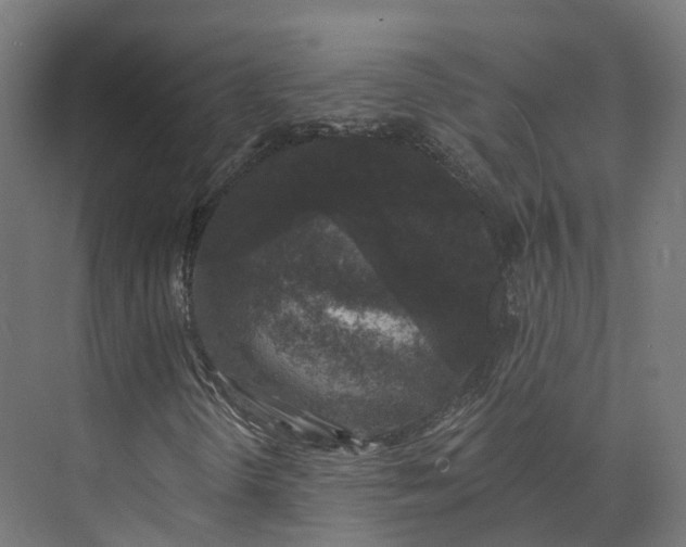 X0000073851298200608171022