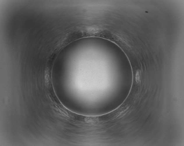 X0000073851299200608171022