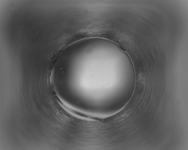 X0000073851300200608171022