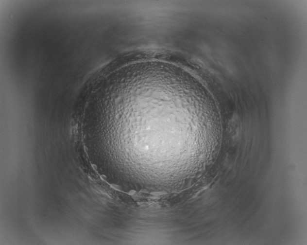 X0000073851302200608171022