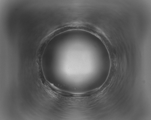 X0000073851304200608171022