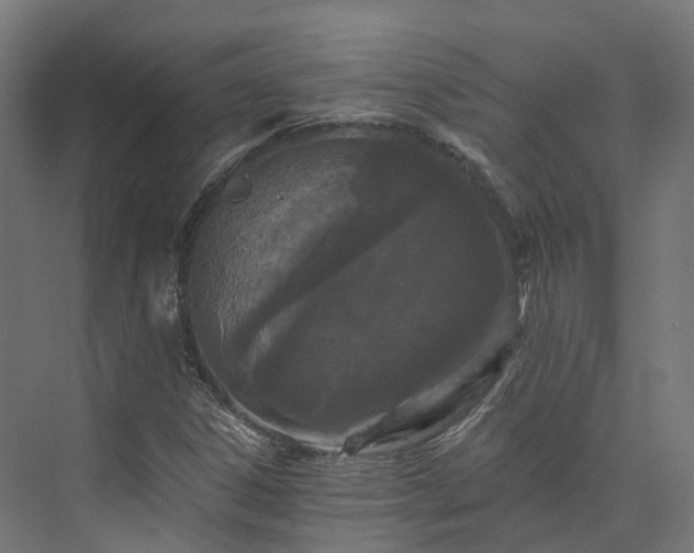 X0000073851306200608171022