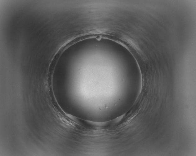 X0000073851308200608171022