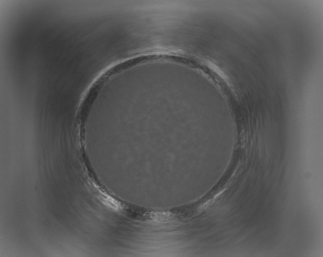 X0000073851310200608171022