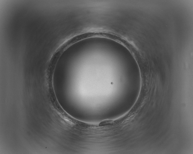 X0000073851311200608171022