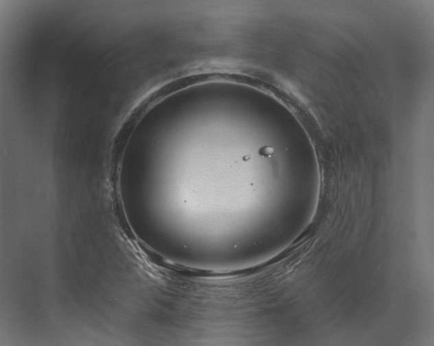 X0000073851312200608171022