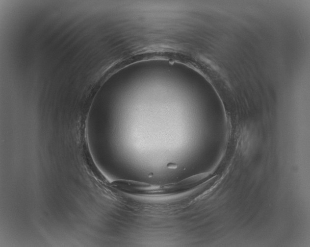 X0000073851313200608171022