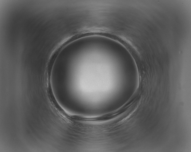 X0000073851317200608171022