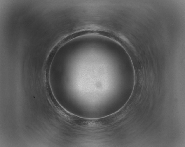 X0000073851318200608171022