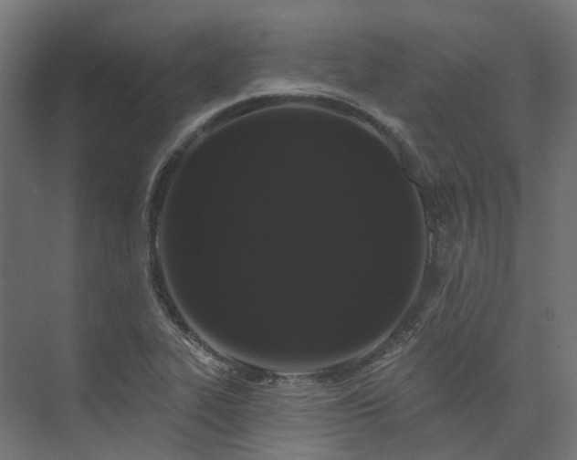 X0000073851319200608171022