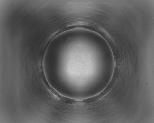 X0000073851321200608171022