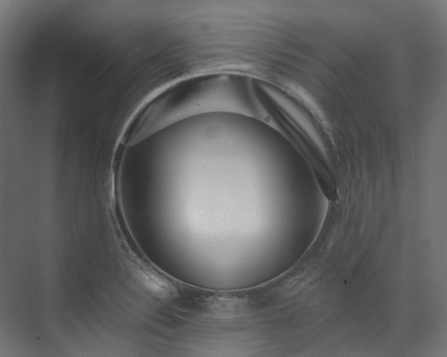 X0000073851324200608171022