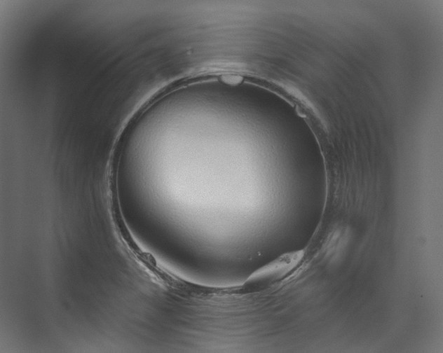 X0000073851325200608171022