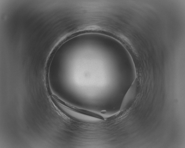 X0000073851326200608171023