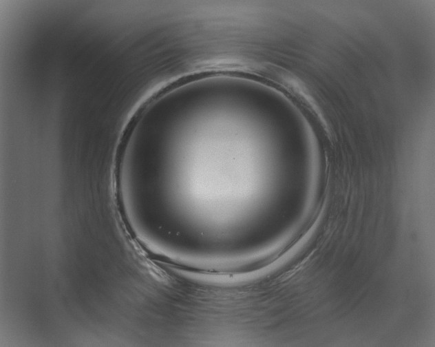 X0000073851328200608171023