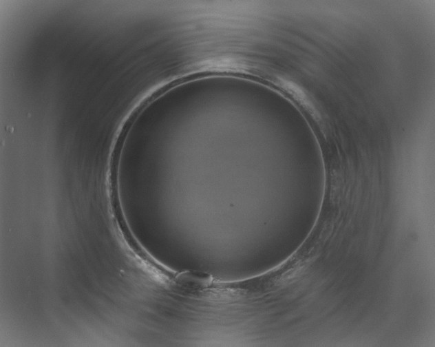 X0000073851331200608171023