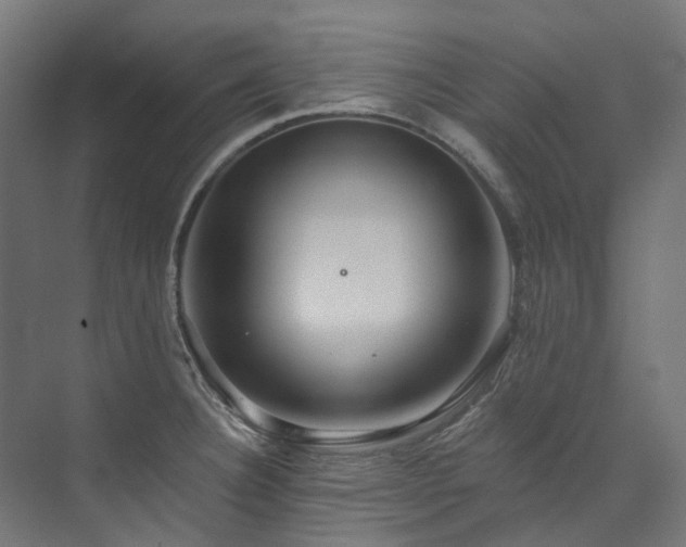 X0000073851332200608171023