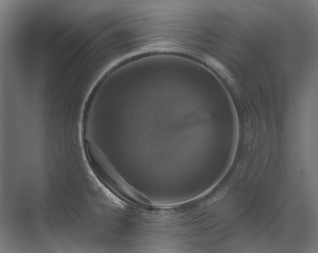 X0000073851334200608171023