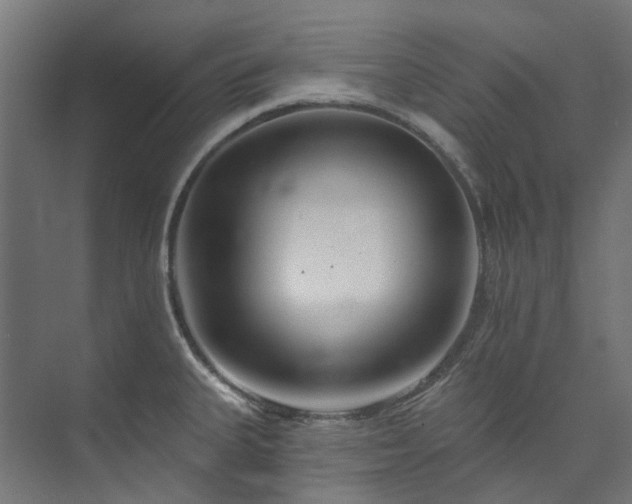 X0000073851335200608171023