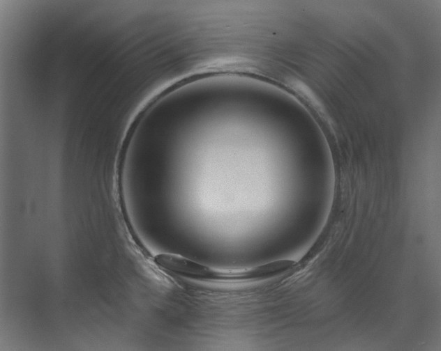 X0000073851336200608171023