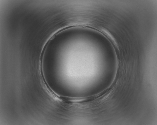 X0000073851340200608171023