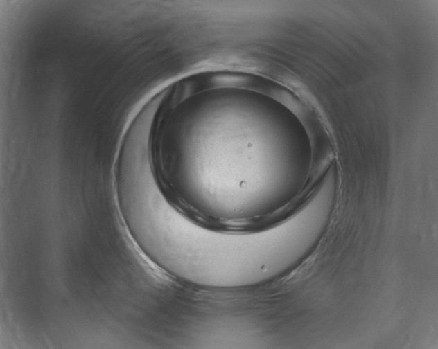 X0000073851344200608171023