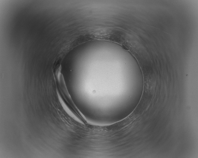 X0000073851346200608171022