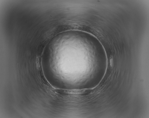 X0000073851347200608171022