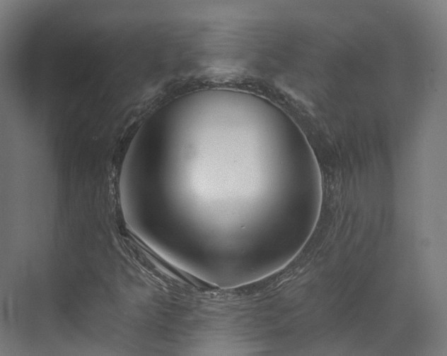 X0000073851349200608171022