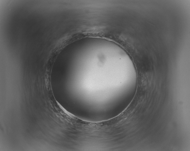 X0000073851350200608171022