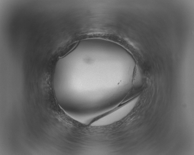 X0000073851351200608171022