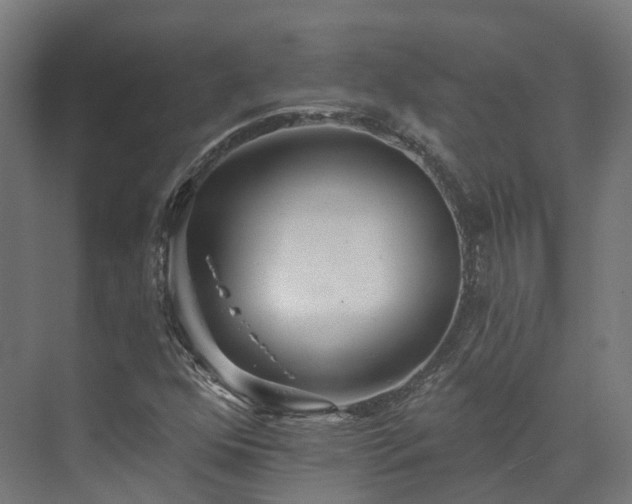 X0000073851352200608171022